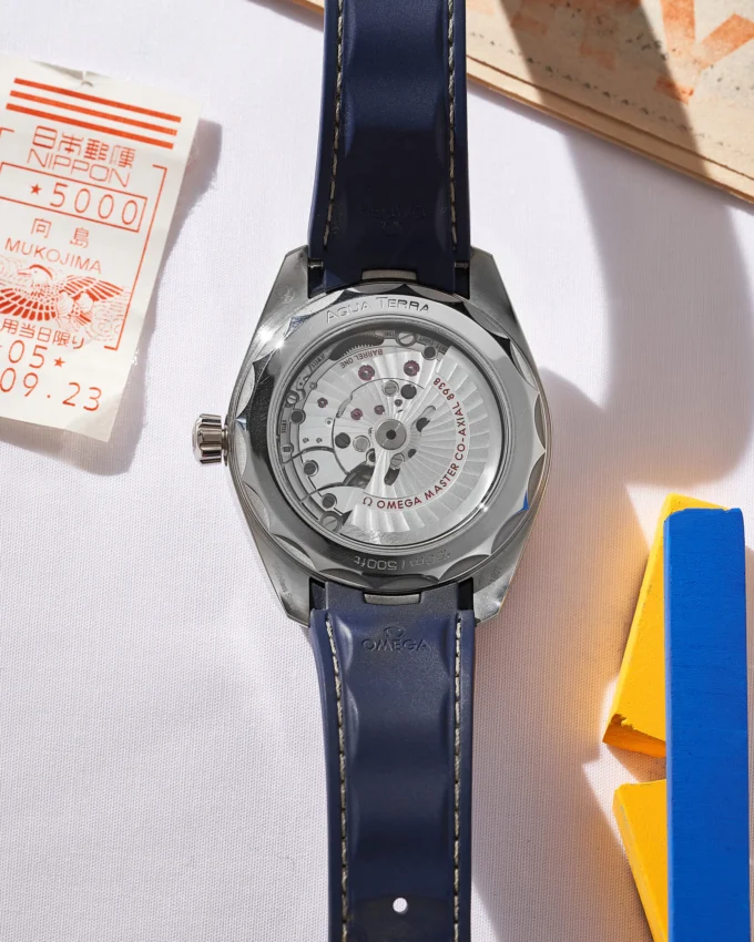 Seamaster Aqua Terra Worldtimer