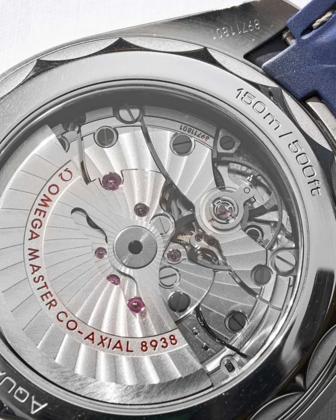 Seamaster Aqua Terra Worldtimer