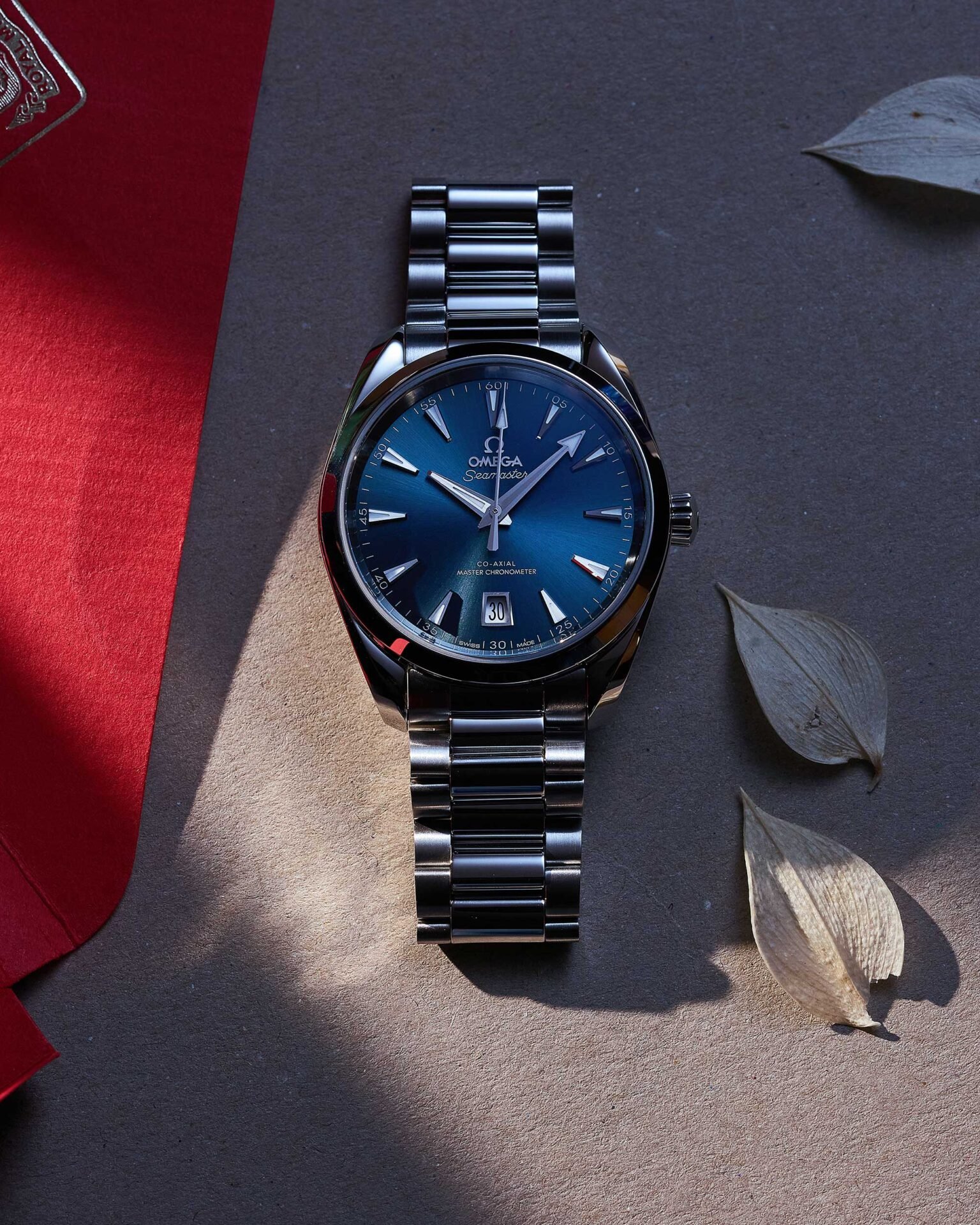 Seamaster Aqua Terra – Bild 3