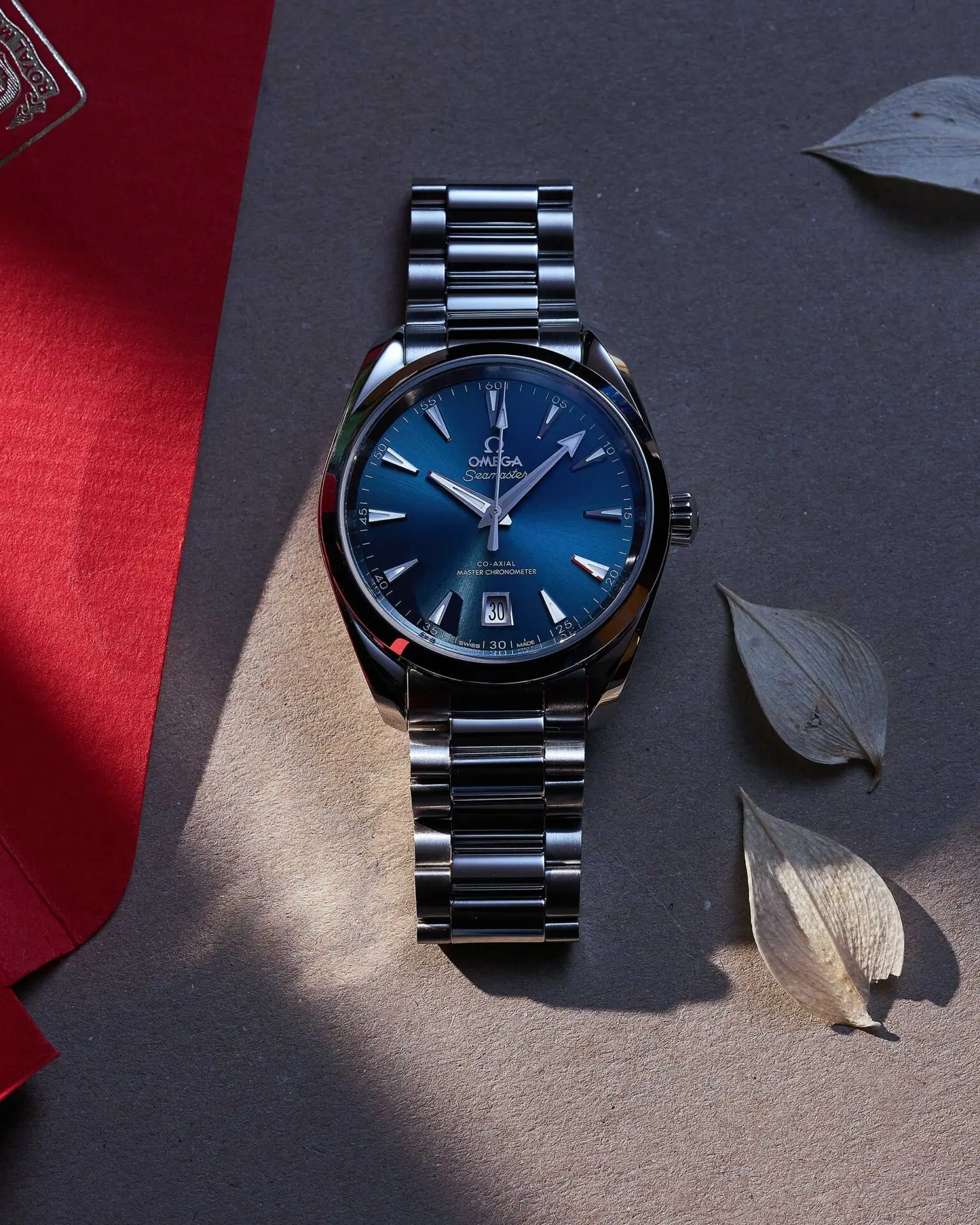 Seamaster Aqua Terra – Bild 3