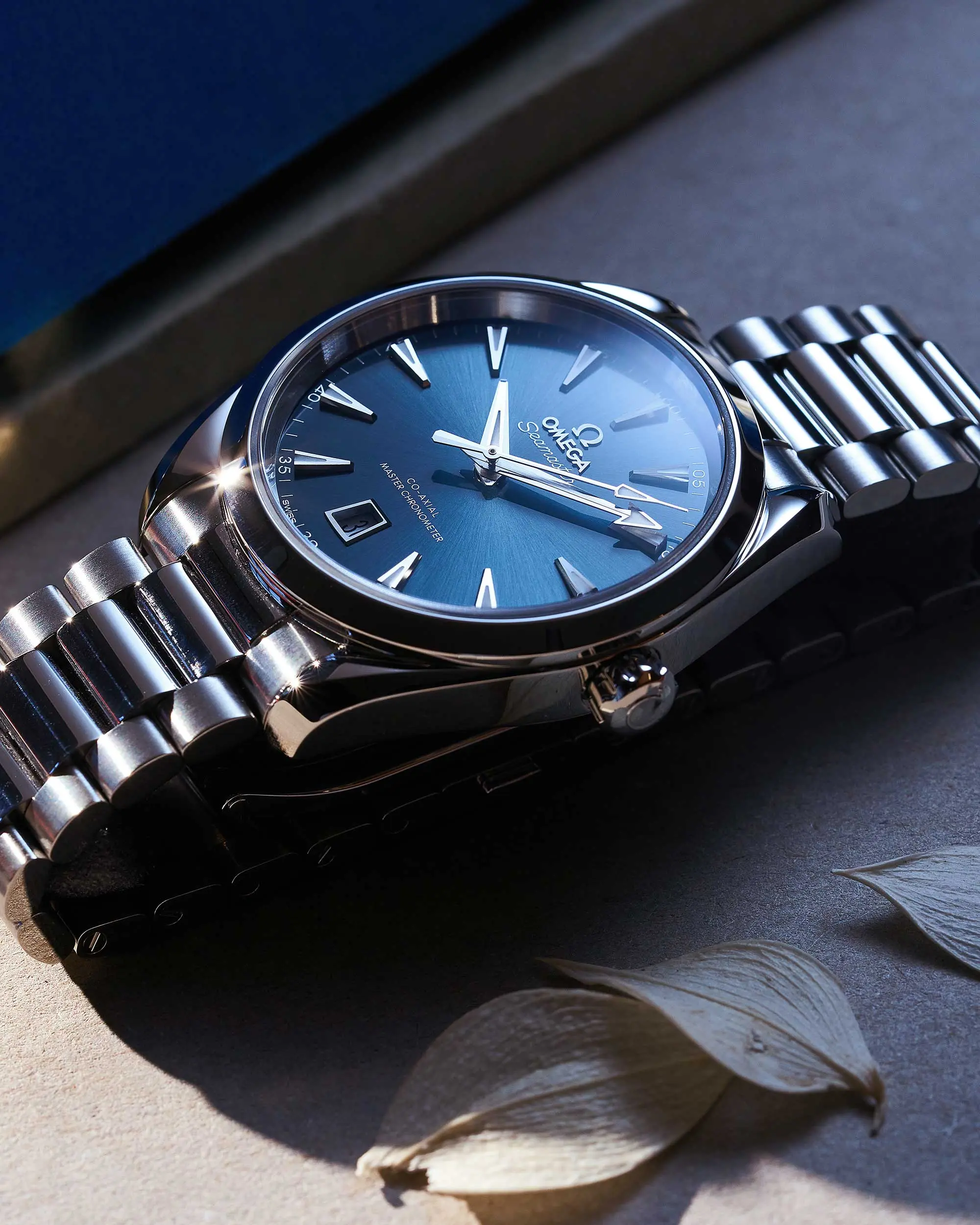 Seamaster Aqua Terra – Bild 4