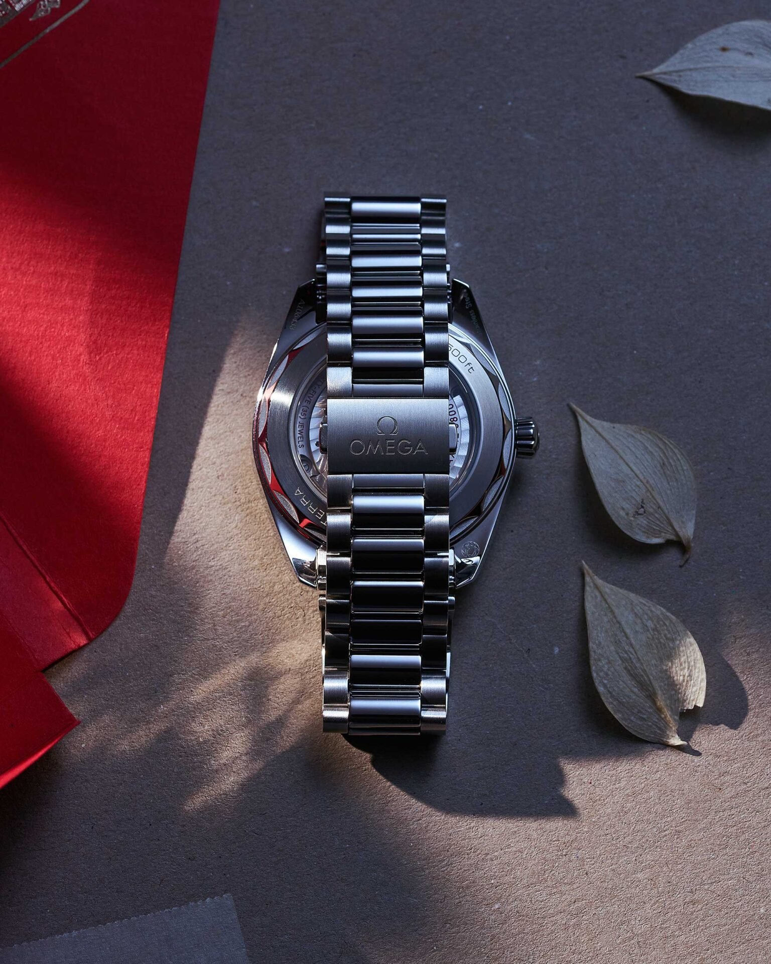 Seamaster Aqua Terra – Bild 5