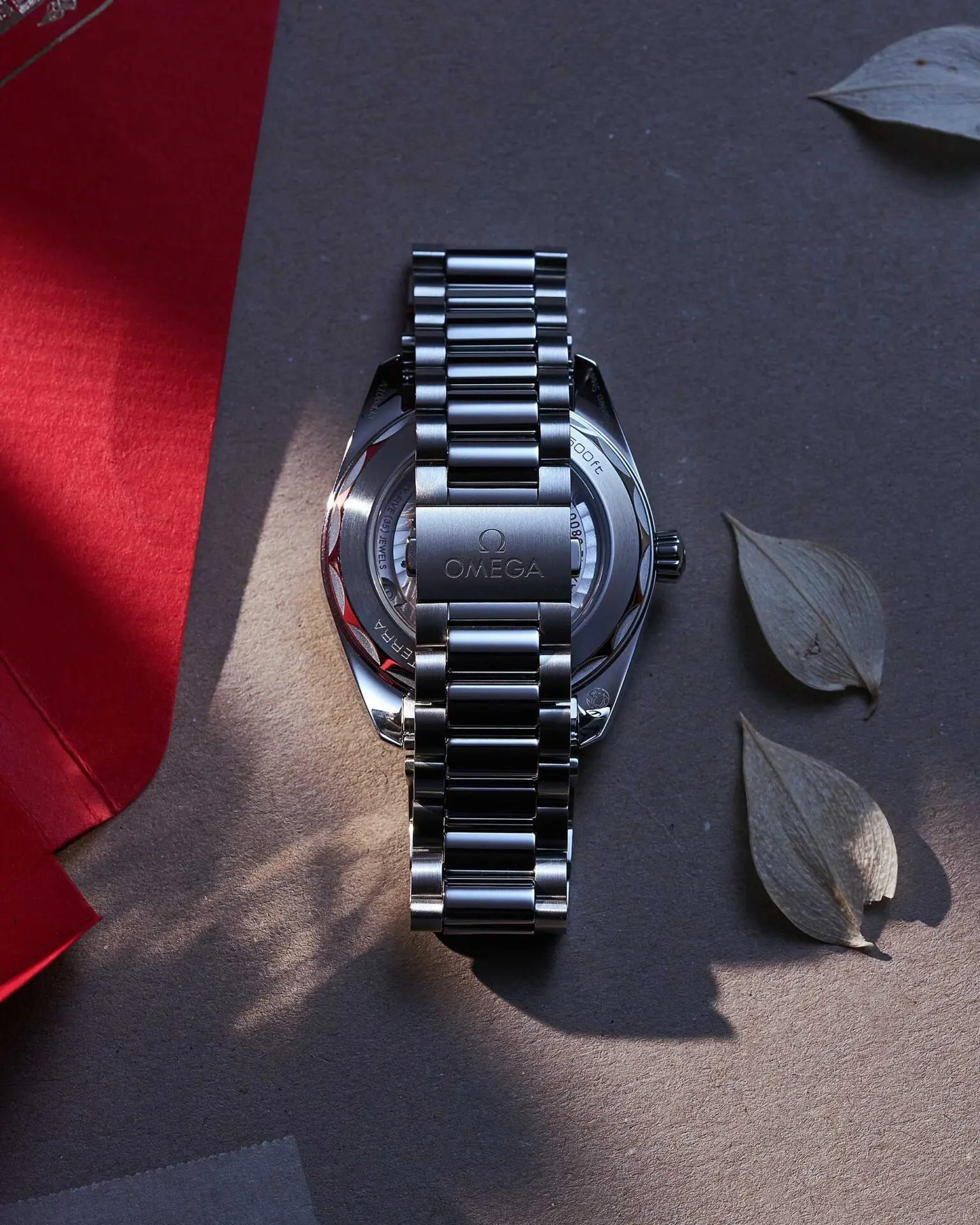 Seamaster Aqua Terra – Bild 5
